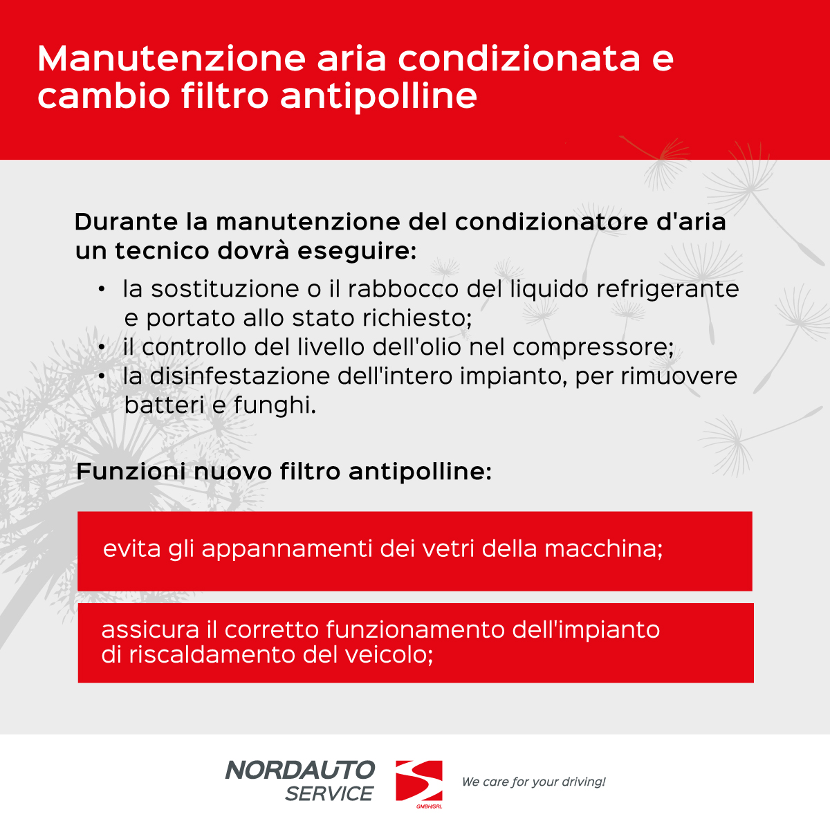 Inforgrafica filtro antipolline